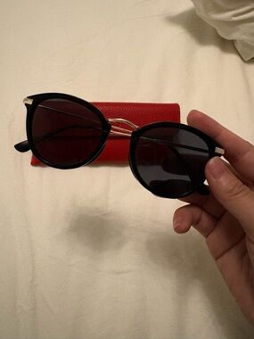 Uniqlo Sunglasses (Black)